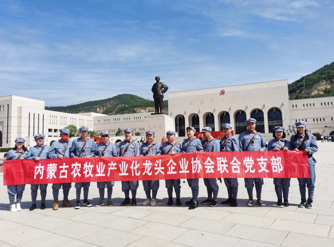 內(nèi)蒙古農(nóng)牧業(yè)產(chǎn)業(yè)化龍頭企業(yè)協(xié)會聯(lián)合黨支部赴延安革命圣地開展“學(xué)黨史、感黨恩、跟黨走”主題黨日活動