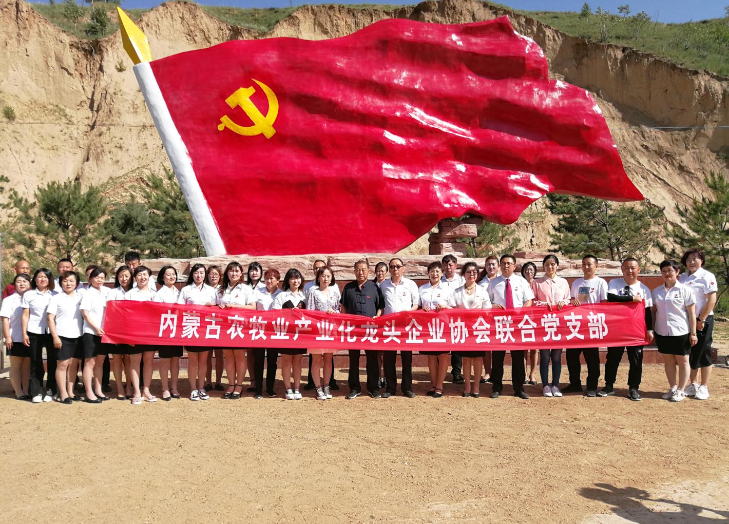內(nèi)蒙古農(nóng)牧業(yè)產(chǎn)業(yè)化龍頭企業(yè)協(xié)會走進(jìn)石人灣村開展“辦實事、解難題，送溫暖，傳黨恩”公益活動